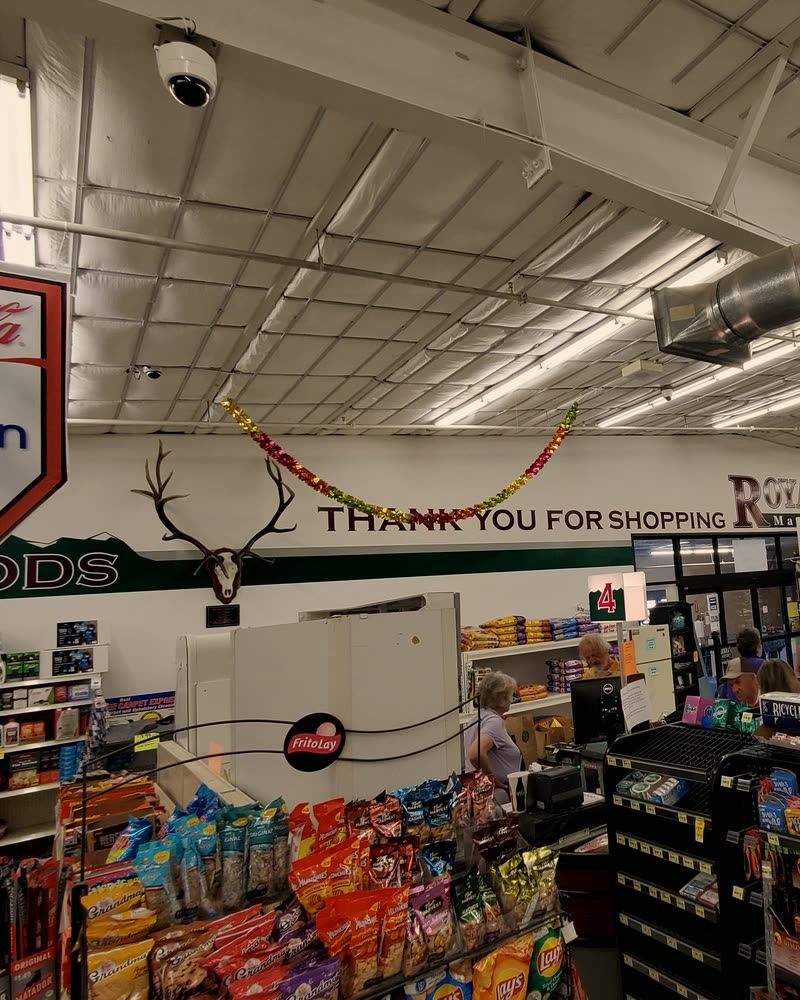 Dome camera coverage inside a full-service grocery store